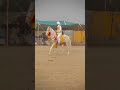 #haq Nawaz jaj champion Punjab #horseenthusiast