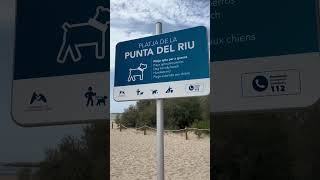 Playa de la Punta del Riu 🌊🐶 Playa para perros en Mont-roig del Camp