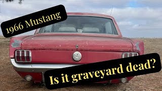 1966 MUSTANG: IS IT GRAVEYARD DEAD?