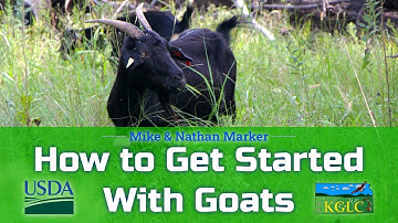How to Get Started With Goats on Your Cattle Ranch, Presented by KGLC & USDA NRCS