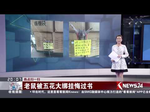 一男子五花大绑老鼠。