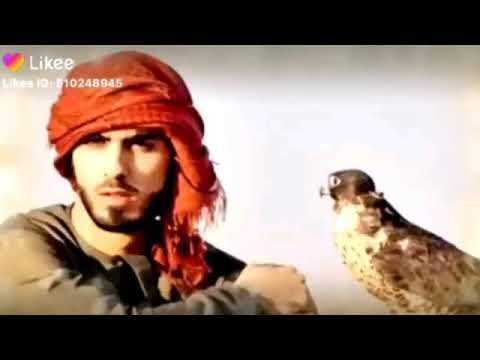 صقور بالجو اعتلت حالات واتساب شيلات حماسيه