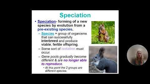 Patterns of Evolution