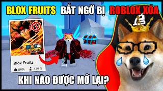 Blox Fruits BẤT NGỜ Bị Xóa Khỏi Roblox VN Khiến Game Thủ Cực Kì Cay Cú  | Roblox screenshot 2