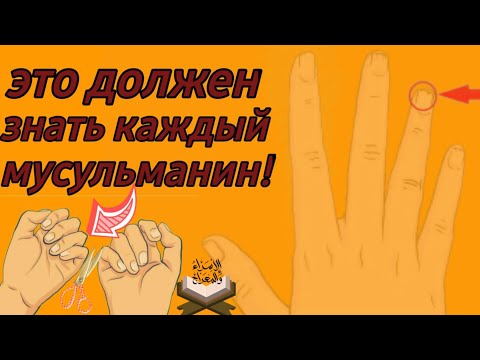 Можно ли мусульманину стричь ногти ночью