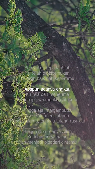 Bidadari Cinta Adibal Akustik Instrumental Piano
