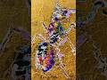 夢を諦めてからが本番なのかも知れない　#物語のある絵画 title:夢を諦めたアリ
