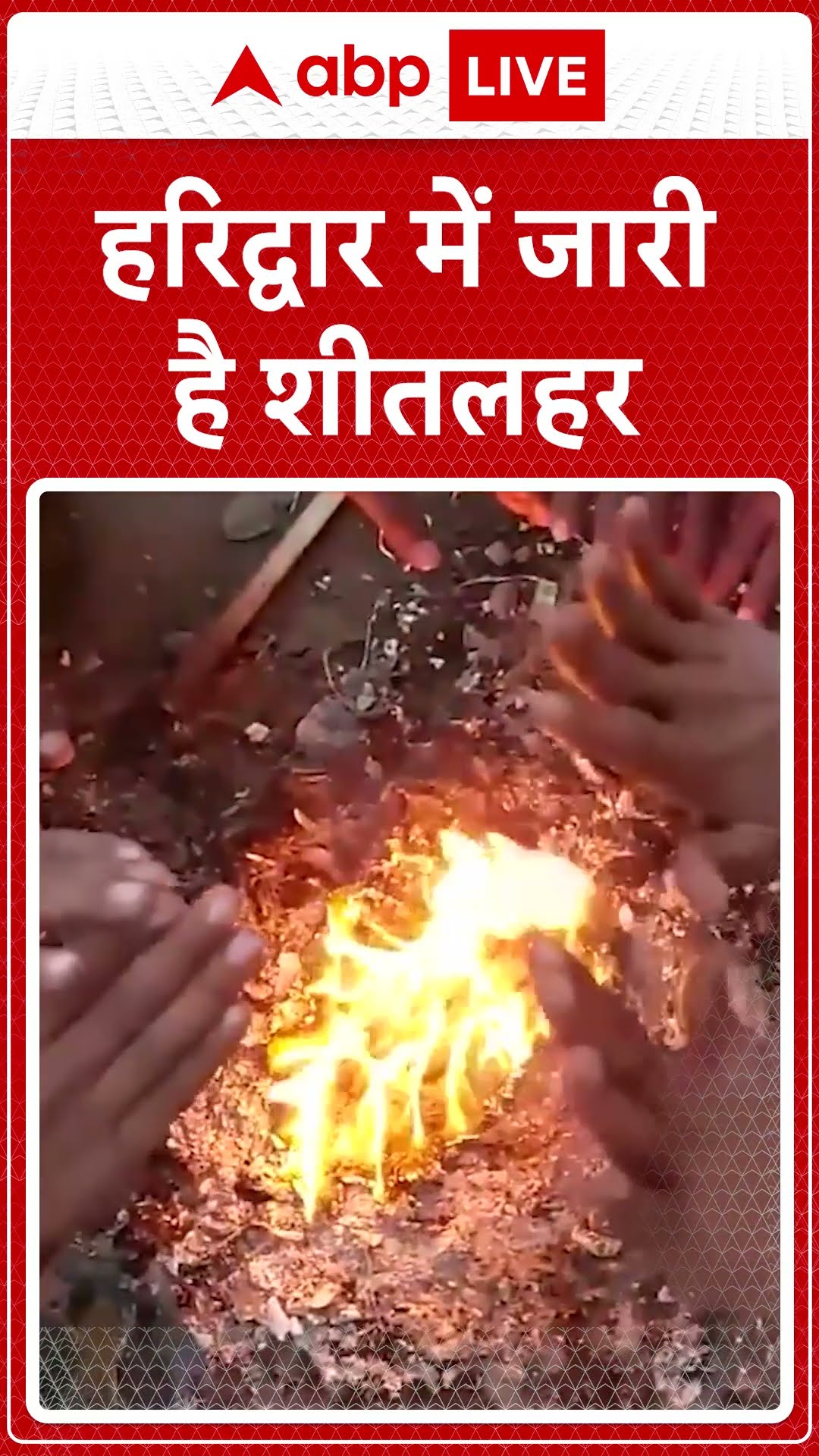 Uttarakhand Weather Update: Haridwar में शीत लहर और घने कोहरे का कहर | ABP LIVE | SHORTS