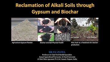 Reclamation of Alkali Soils through Gypsum and Biochar- Dr. P. C. Patel