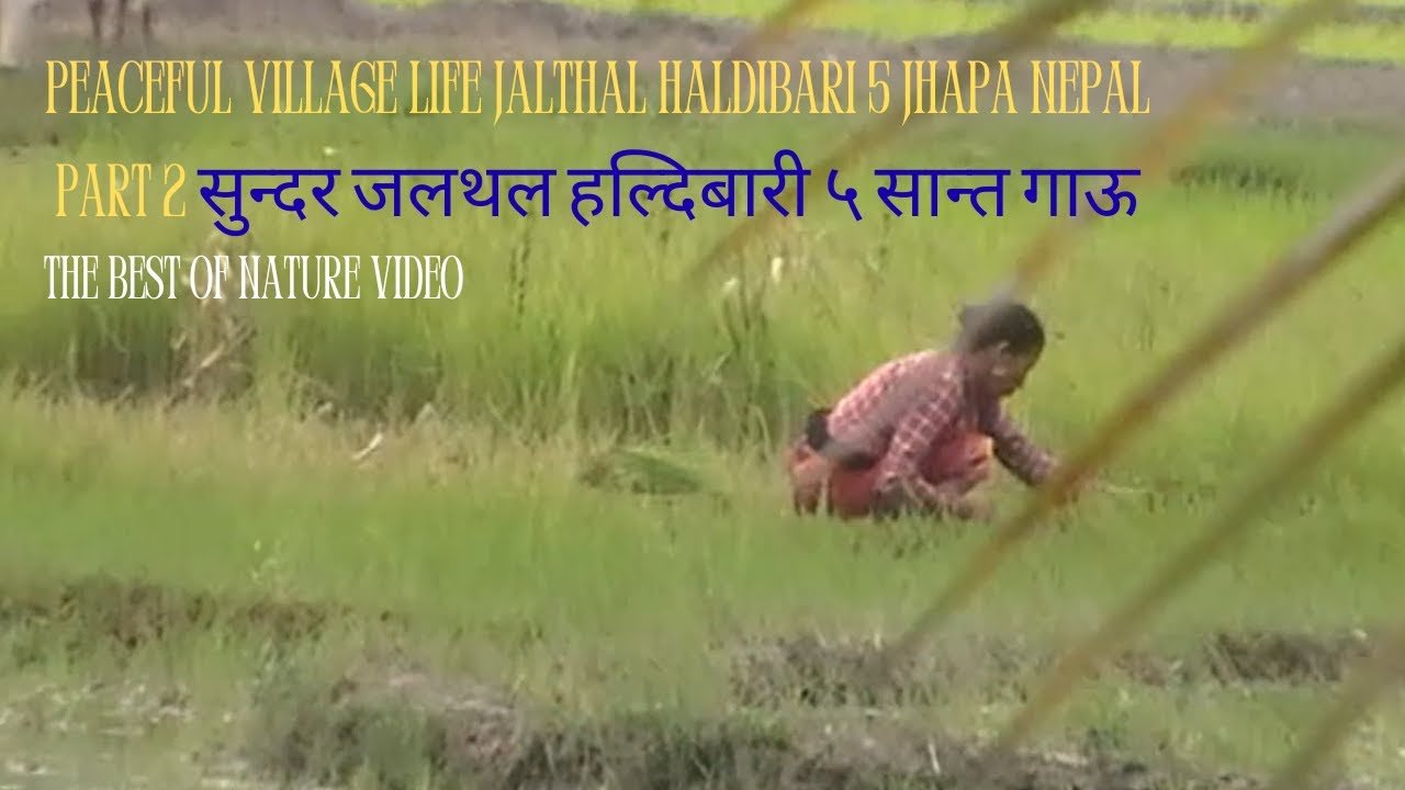 peaceful village haldibari 5 jalthal jhapa nepal part 2