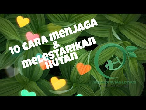 Video: Bagaimana Cara Melindungi Hutan?