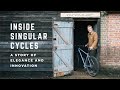 Inside singular cycles a story of elegance and innovation