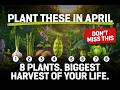 8 PLANTS YOU MUST GROW THIS APRIL FOR BIG HARVEST MOST GARDENERS MISS THESE