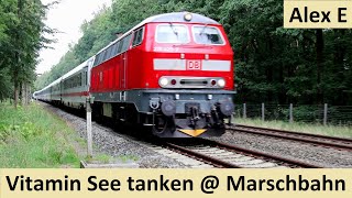 Vitamin See an der Marschbahn im Sommer 2023  |  Alex E