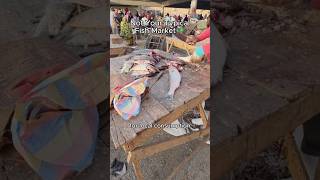 Visiting a local fish market in Mauritania.