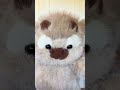 Mira este peluche tan adorable...😍#peluches #adorable#regalos #novia #kawai