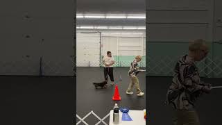 AKC Obedience - Beginner Novice A - Score of 192.5 - 3/28/26
