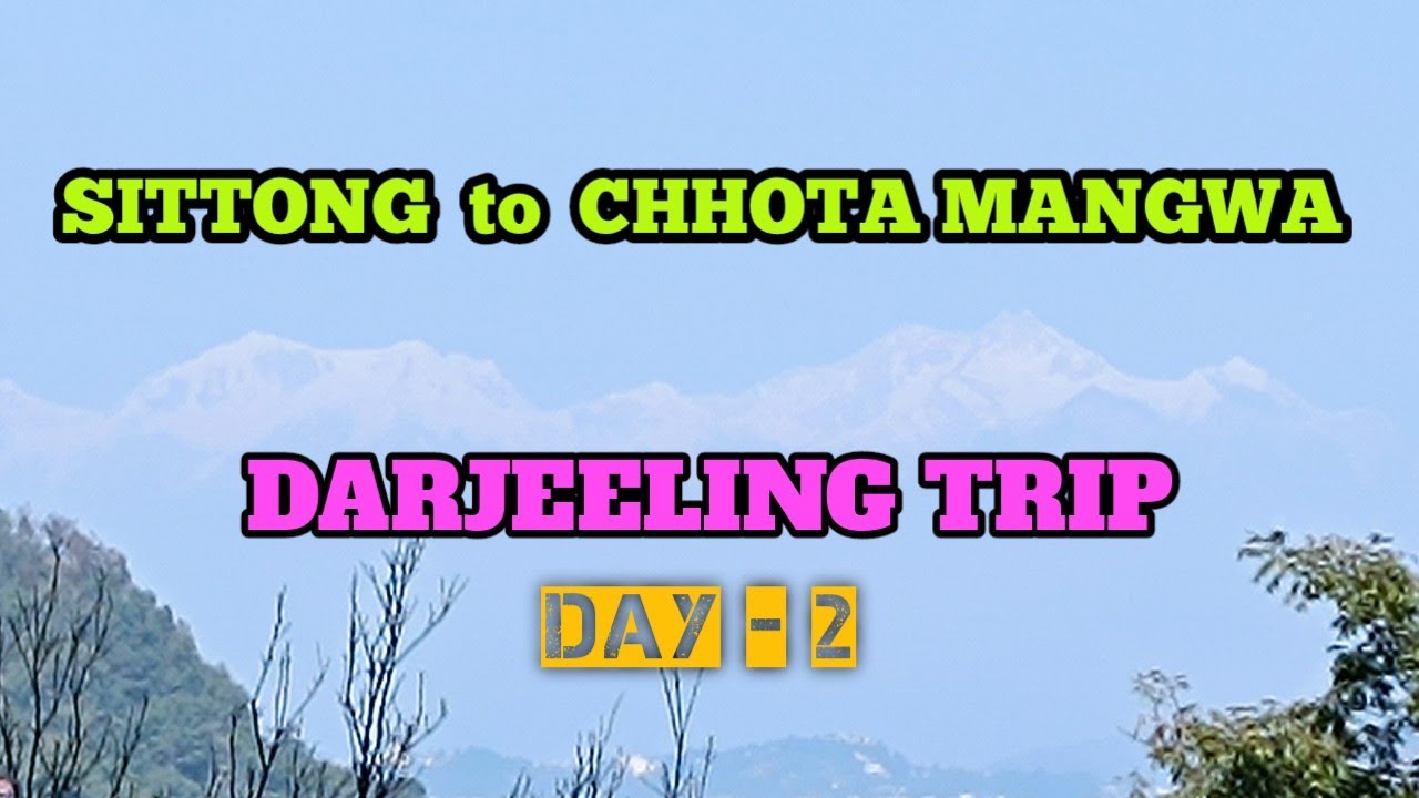 Sittong to Chhota mangwa | Chhota mangwa homestay & details | Darjeeling trip 2024