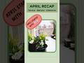 April Garden Recap: Snow, Survival & a Mystery Plant 🌱❄️