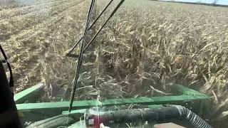 Harvesting corn in a 9560 John Deere 2023