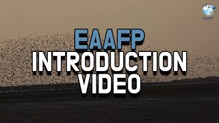 [EAAFP] EAAFP Introduction Video (Eng)