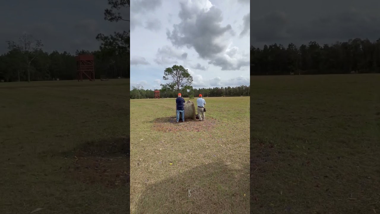 Roberts Ranch in Palatka Florida.  Pheasant tower hunting at its finest!
