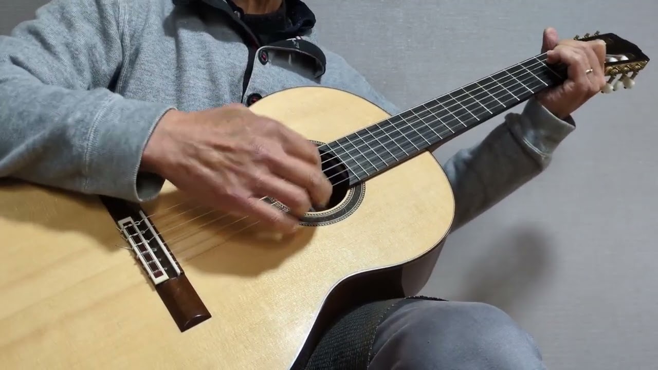 ギター弾き語り『我が祖国(This Land Is Your Land)』♪