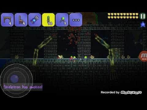 Terraria Mod (9) Throwing Knife Vs Skeletron