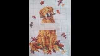 welcome dog(добро пожаловать) процесс welcome dog(добро пожаловать) процесс
