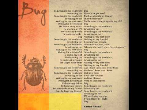 NOS Project — NOS project - Charles Antony "Bug"