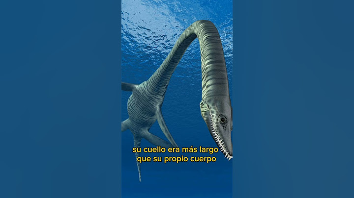 Elasmosaurus: Descubre al Gigante Marino Olvidado (10 Monstruos Marinos más Grandes de la Historia)