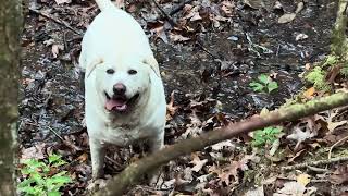 Famous Mud….I don’t see an issue here  Net Worth