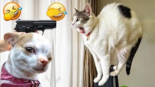 Cute animal Videos That You Just Can't Miss😹🐕Part 14