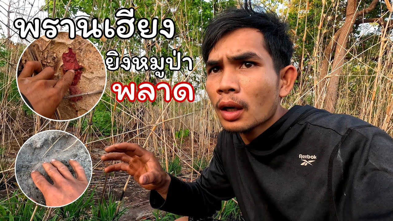 พรานเฮียงยิงหมูป่าพลาด // ພານຮຽງ ຍິງຫມູປ່າພາດ Hieng บ่าวเฮียง คนหากิน