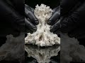 Calming Coral Reef Putty🪸 #asmr #oddlysatisfying #satisfying #monochrome #transformation #aiart