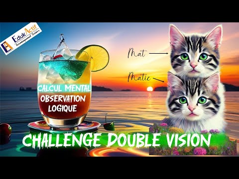 Relèveras-tu le challenge de la double vision ? #chats #logique #edukactif  #enigmes