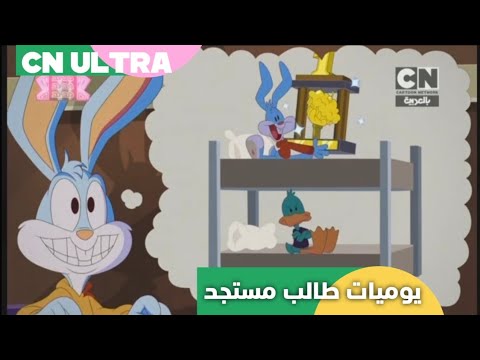 تايني تونز جامعة الكرتون يوميات طالب مستجد كرتون نتورك بالعربية