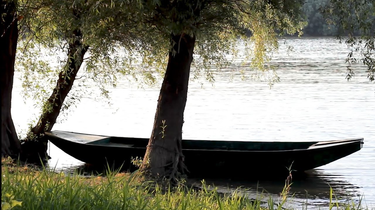 Where the Boat Rests | 4-Minute River Meditation for Calm
