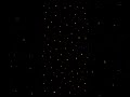Particle Life Simulation - 2026-03-14