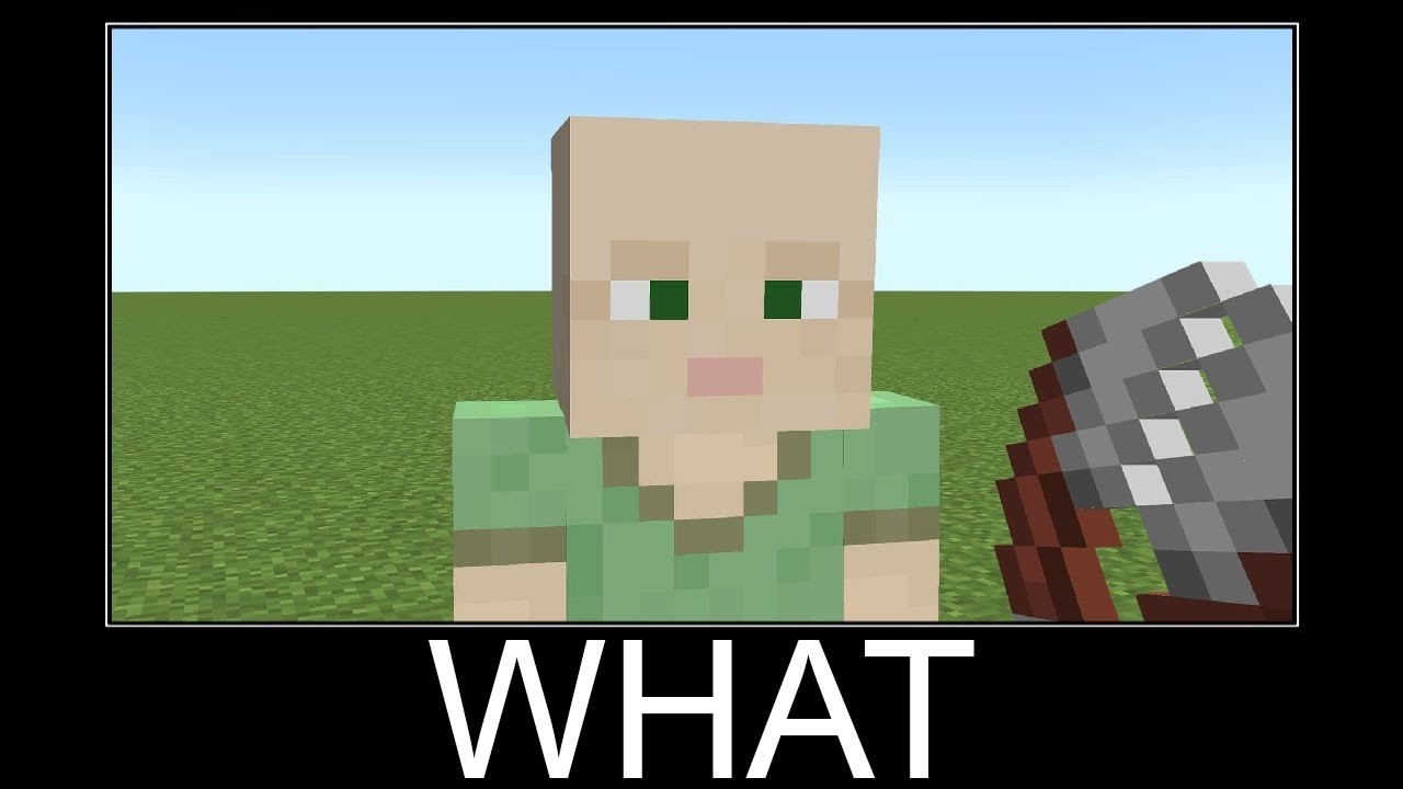 Minecraft WAIT WHAT #2108