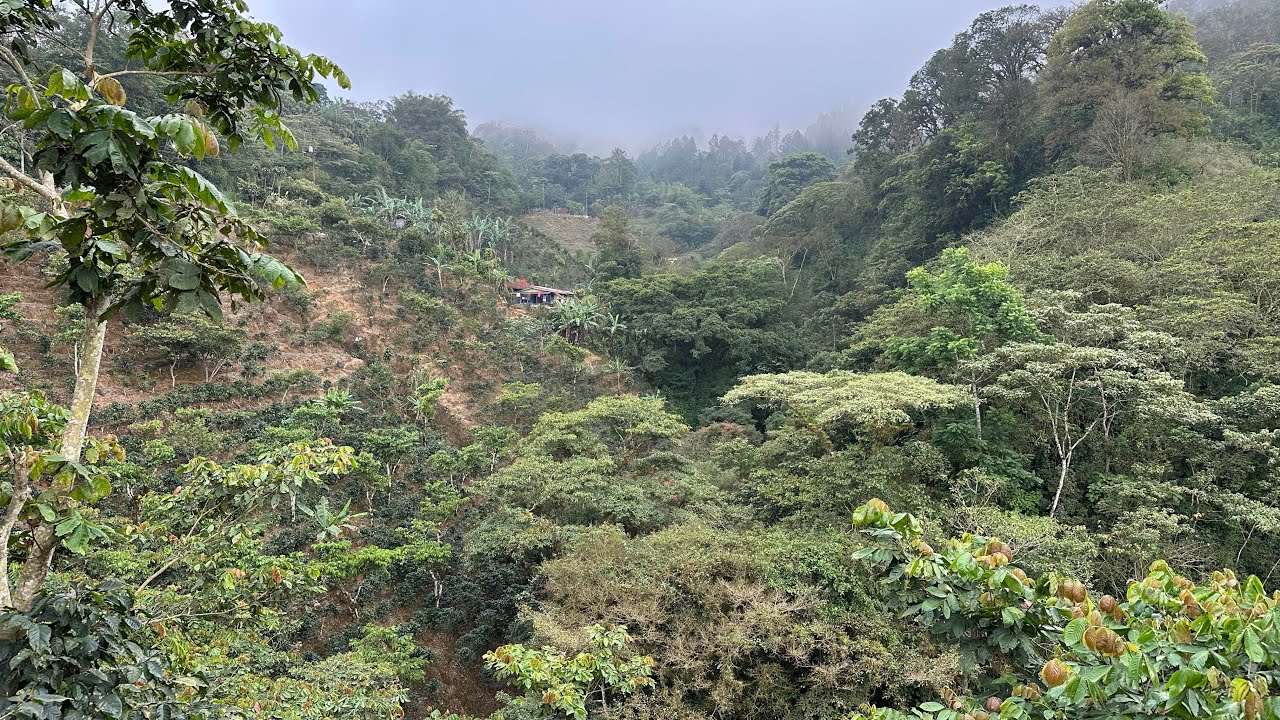 Jaco to La Fortuna Costa Rica
