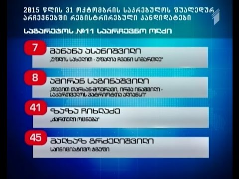 რატომ გახდა აუცილებელი შუალედური არჩევნების ჩატარება საგარეჯოსა და მარტვილში
