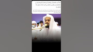 شيخ رعد الكردي حالات واتس اب | سورة (الروم: ٤٠)