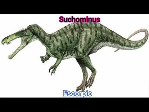 Qué dinosaurio carnívoro eres según tu signo zodiacal? - YouTube