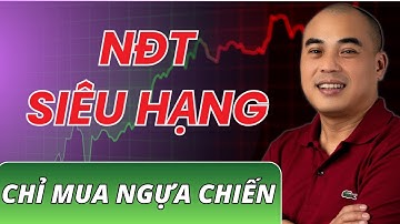 Xu Hướng Dòng Tiền: Tại sao các NĐT SIÊU HẠNG chỉ mua cổ phiếu NGỰA CHIẾN để bứt phá lợi nhuận