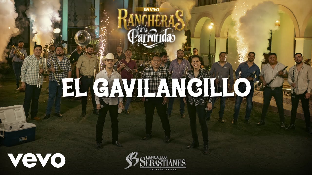 Banda Los Sebastianes De Saúl Plata - El Gavilancillo (En Vivo / LETRA)