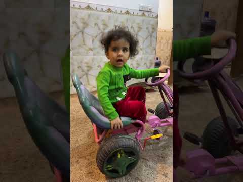 بروقة تخاف من اسد Shortsvideo