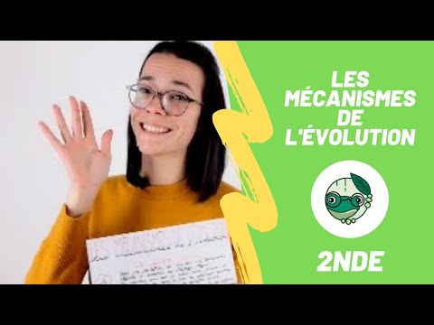 Vidéo: Quels sont toutes les forces et mécanismes sélectifs de l'évolution ?