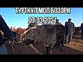 Турткул мол бозори 07.03.2021