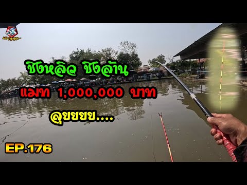 ตกปลาชิงหลิว ชิงหลิวชิงล้าน แข่งชิงหลิว เงินรางวัล 1,000,000 บาท EP.176